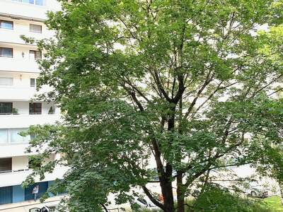 Wohnung mieten in 1200 Wien (Bild 1)