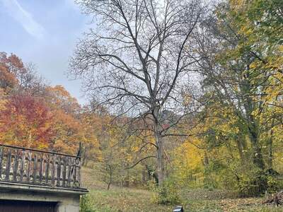 Grundstück kaufen in 3400 Klosterneuburg (Bild 4)