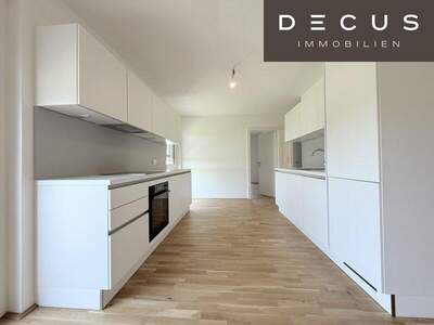 Terrassenwohnung mieten in 1100 Wien (Bild 1)