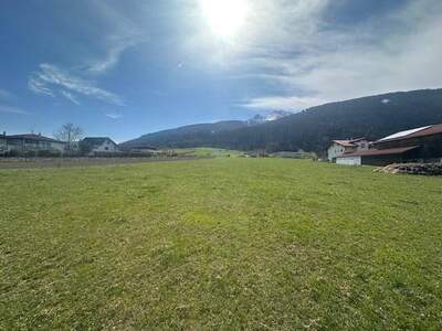 Grundstück kaufen in 6092 Birgitz