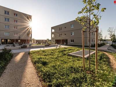 Wohnung mieten in 4623 Gunskirchen