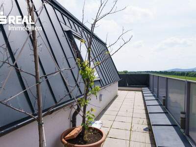 Terrassenwohnung kaufen in 2331 Vösendorf (Bild 3)