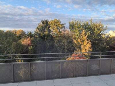 Terrassenwohnung kaufen in 1210 Wien (Bild 1)