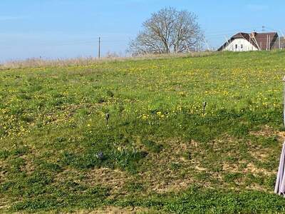 Grundstück kaufen in 8380 Jennersdorf (Bild 2)