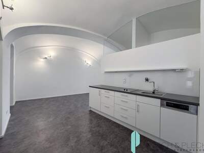 Gewerbeobjekt mieten in 1060 Wien (Bild 4)