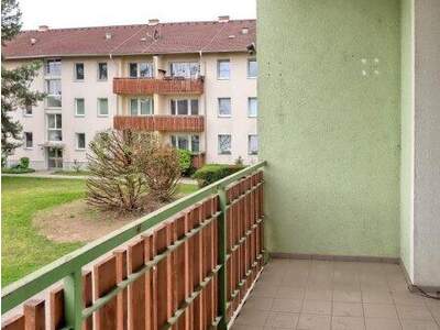 Terrassenwohnung kaufen in 3541 Senftenberg (Bild 3)