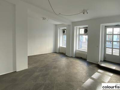 Gewerbeobjekt mieten in 1060 Wien (Bild 3)