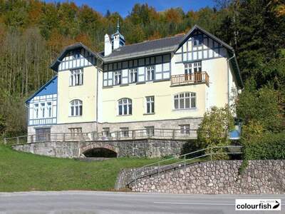 Haus kaufen in 3335 Weyer