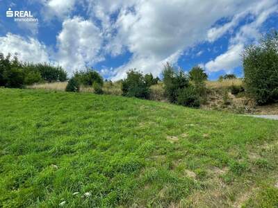 Grundstück kaufen in 8541 Bad Schwanberg