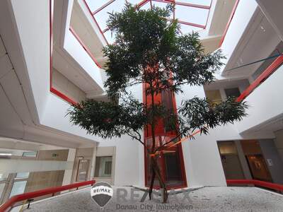 Büro / Praxis mieten in 1140 Wien (Bild 4)