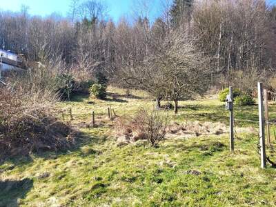 Grundstück kaufen in 3021 Pressbaum (Bild 3)