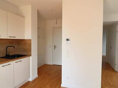 Apartment provisionsfrei mieten in 1230 Wien