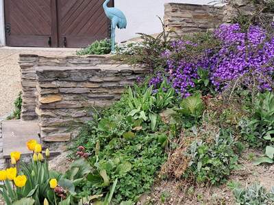 Haus mit Garten kaufen in 3400 Klosterneuburg (Bild 4)