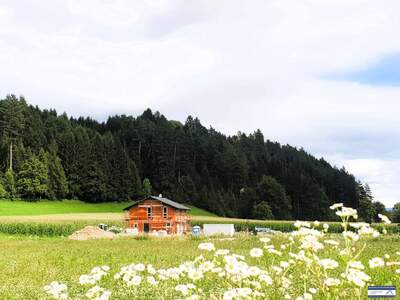 Grundstück kaufen in 9811 Lendorf (Bild 3)