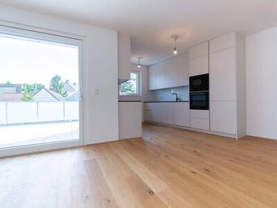 Wohnung mieten in 1220 Wien