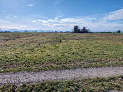 Gewerbeobjekt kaufen in 3464 Seitzersdorf