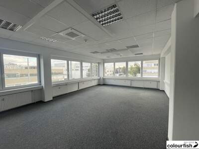 Gewerbeobjekt mieten in 1230 Wien (Bild 1)