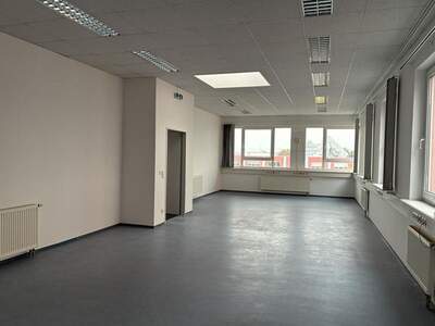 Gewerbeobjekt mieten in 1230 Wien (Bild 2)