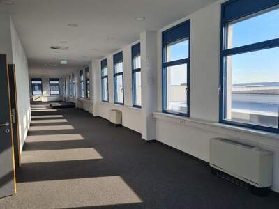 Gewerbeobjekt mieten in 1230 Wien (Bild 2)