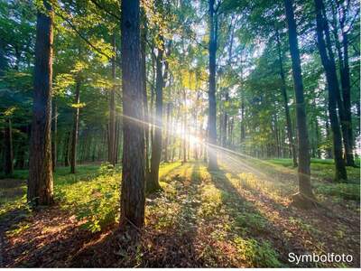 Gewerbeobjekt kaufen in 8102 Semriach