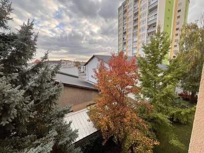 Wohnung provisionsfrei mieten in 8020 Graz