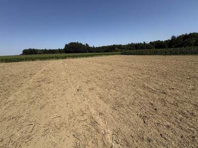 Land- und Forstwirtschaft kaufen in 5134 Handenberg