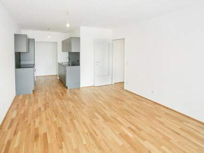 Terrassenwohnung mieten in 1220 Wien (Bild 2)