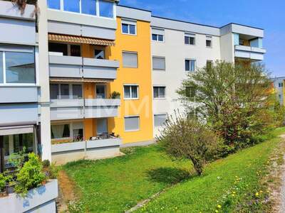 Terrassenwohnung kaufen in 4470 Enns (Bild 1)