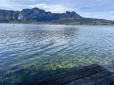 Grundstück kaufen in 5310 Mondsee
