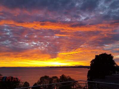Wohnung kaufen in 6900 Lochau (Bild 3)