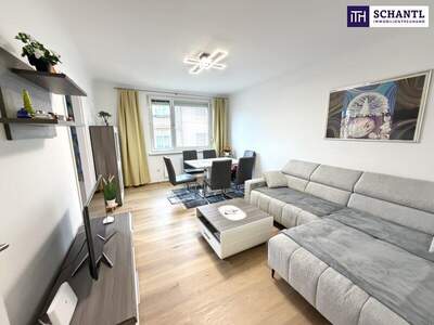 Wohnung mieten in 1130 Wien (Bild 2)