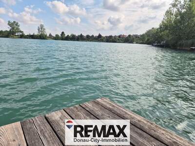 Einfamilienhaus kaufen in 2485 Wimpassing (Bild 2)