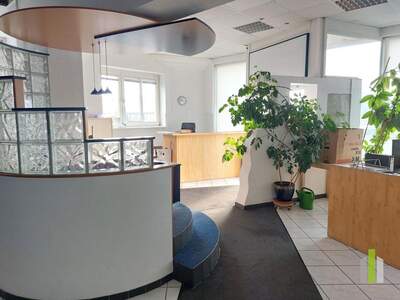 Gewerbeobjekt mieten in 4600 Wels (Bild 1)