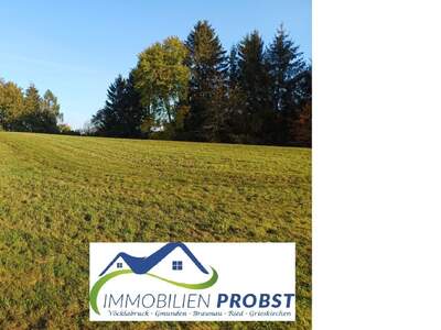 Gewerbeobjekt kaufen in 4941 Mehrnbach (Bild 2)