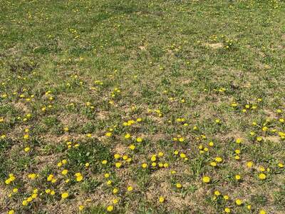 Grundstück kaufen in 8380 Jennersdorf (Bild 3)