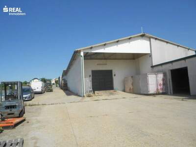 Gewerbeobjekt kaufen in 7122 Gols