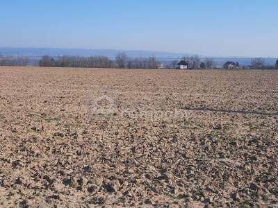 Grundstück kaufen in 8394 Nemesboldogasszonyfa (Bild 3)