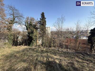 Grundstück kaufen in 8052 Graz (Bild 5)