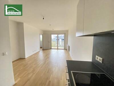 Terrassenwohnung mieten in 1210 Wien (Bild 1)