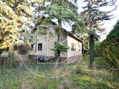 Grundstück kaufen in 1220 Wien