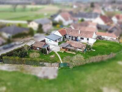 Haus kaufen in 3484 Grafenwörth