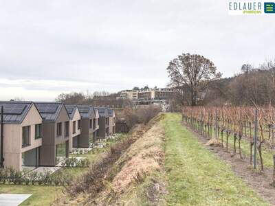 Reihenhaus mieten in 3506 Hollenburg (Bild 3)
