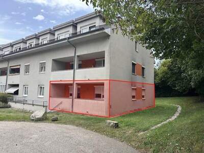 Terrassenwohnung kaufen in 4470 Enns (Bild 1)