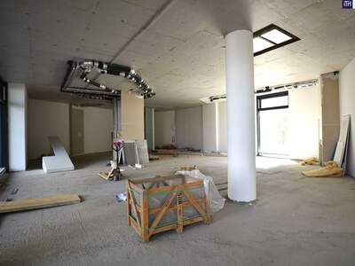 Gewerbeobjekt mieten in 1210 Wien (Bild 5)