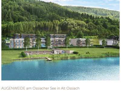 Wohnung mit Balkon kaufen in 9570 Ossiach (Bild 4)