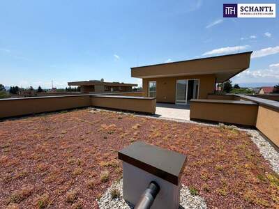 Terrassenwohnung kaufen in 8401 Kalsdorf (Bild 2)