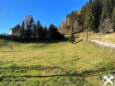 Grundstück kaufen in 9335 Lölling