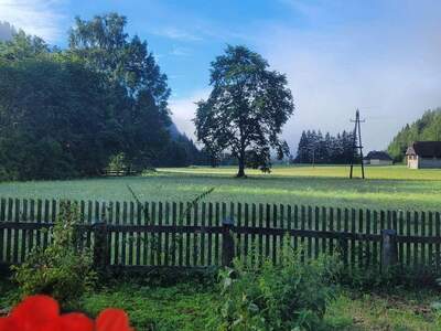Bauernhaus kaufen in 8763 Möderbrugg (Bild 4)