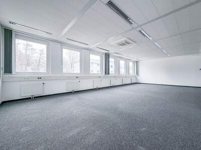 Gewerbeobjekt mieten in 5020 Salzburg (Bild 3)