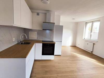 Wohnung provisionsfrei mieten in 1100 Wien